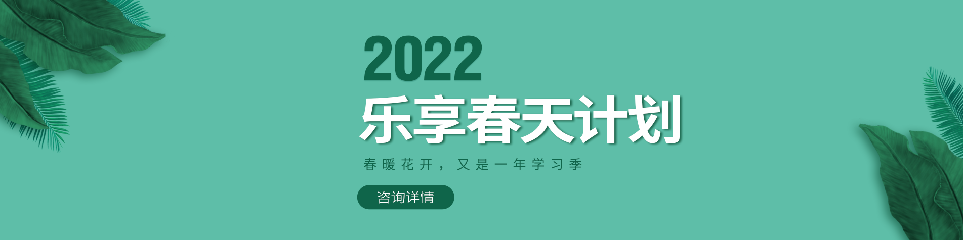 美女扣逼操逼视频网站